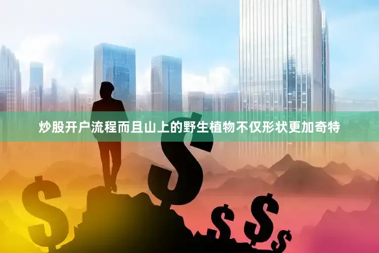 炒股开户流程而且山上的野生植物不仅形状更加奇特