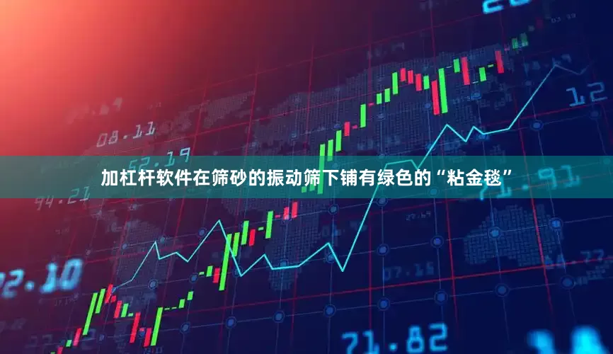 加杠杆软件在筛砂的振动筛下铺有绿色的“粘金毯”