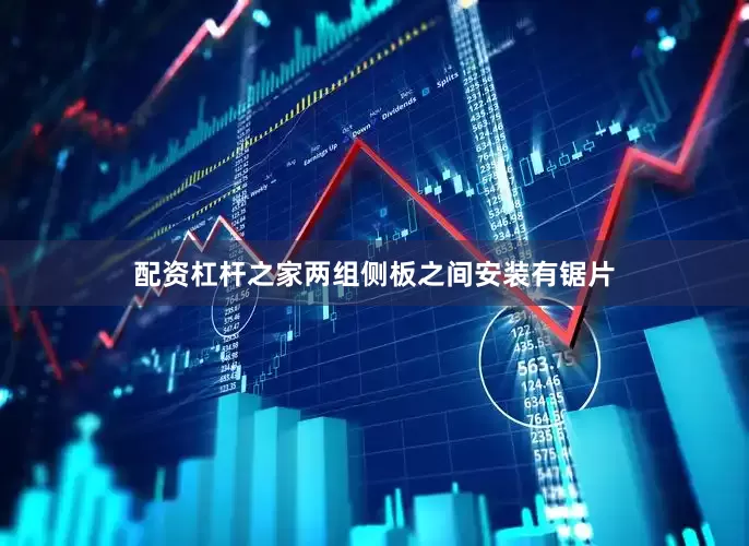 配资杠杆之家两组侧板之间安装有锯片