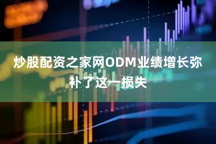 炒股配资之家网ODM业绩增长弥补了这一损失